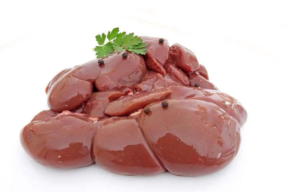 Beef Kidney