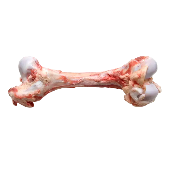 Beef Simple Bone / Nali