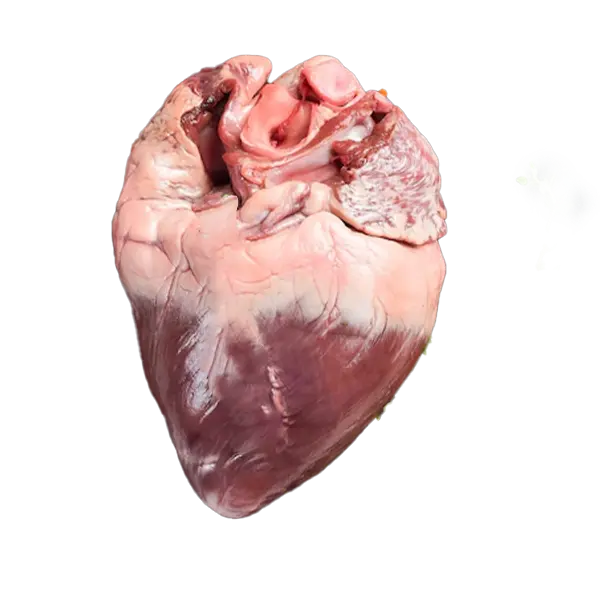Beef Heart